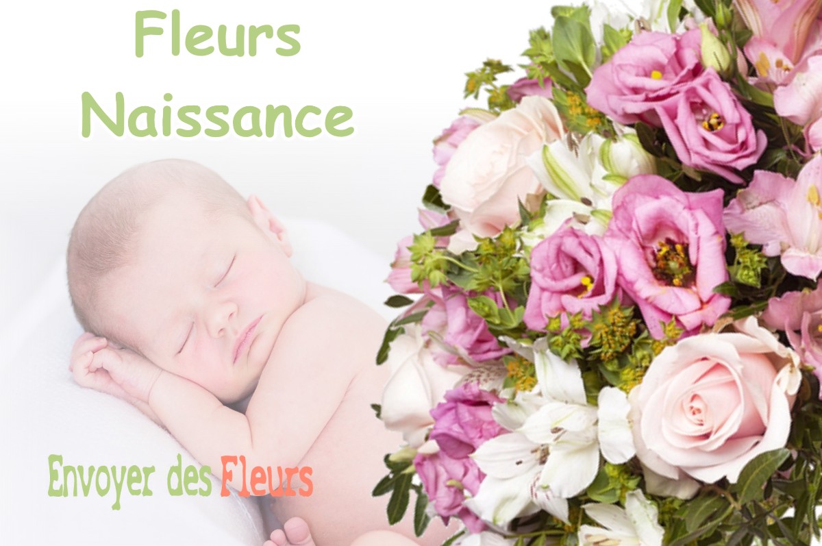 lIVRAISON FLEURS NAISSANCE à GERAISE